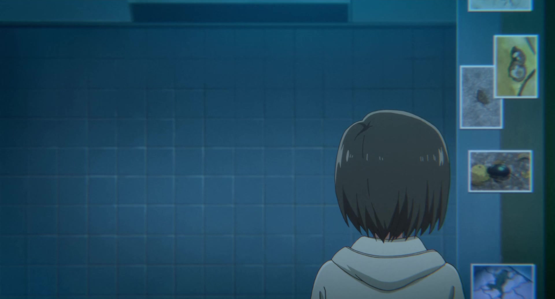 [Tsukyio Editing Resources] A Silent Voice Movie - 1029.mp4